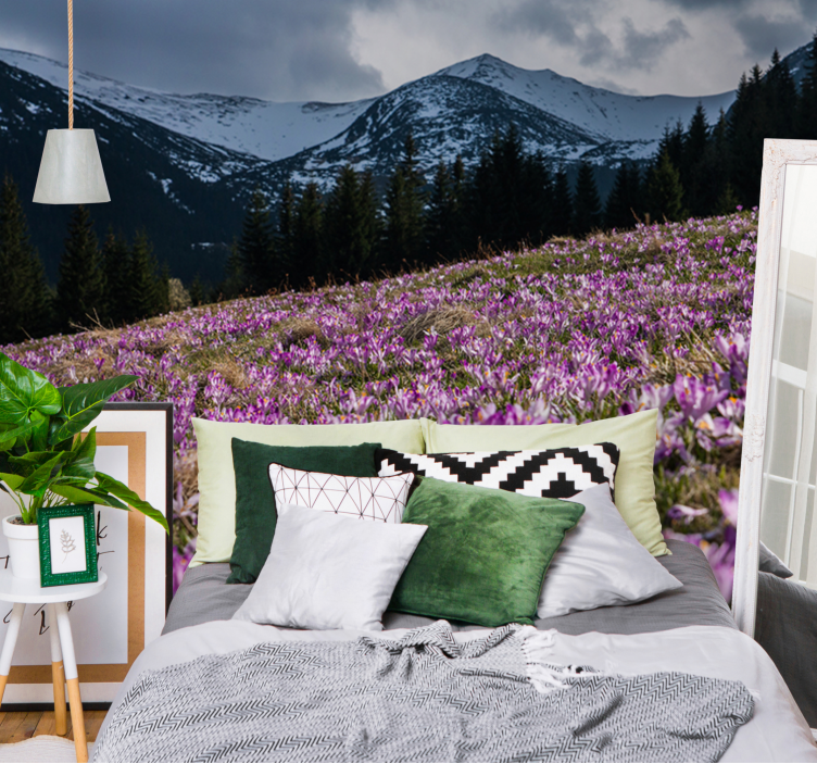 Prekrasna livada od cvijeta krokusa na zidu - TenStickers