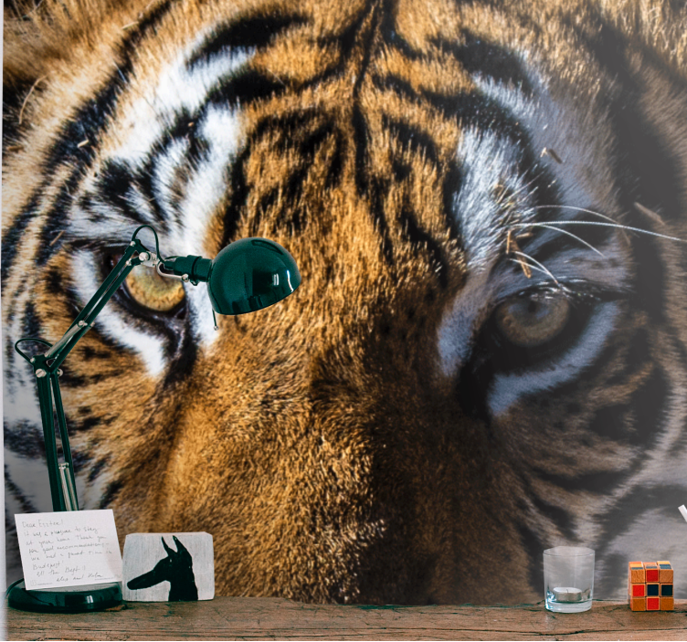 Lijepe tigrove oči afrika zidni mural - TenStickers