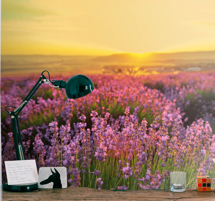 Polja lavande na sunčanom danu zidna slika - TenStickers