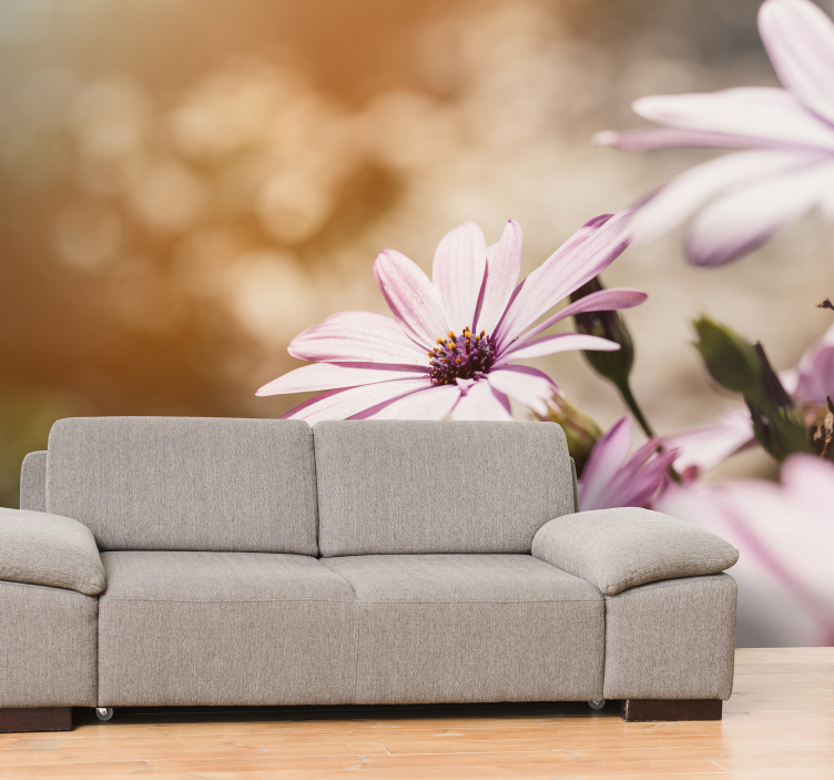 Prekrasne tratinčice ružičaste zidne freske - TenStickers