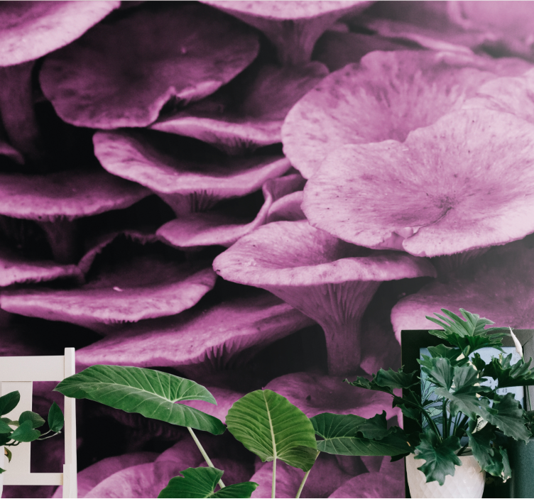 Ružičaste gljive škrge priroda zidni mural - TenStickers