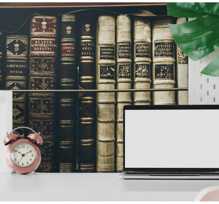 Starinski zidni ormar za knjige - TenStickers