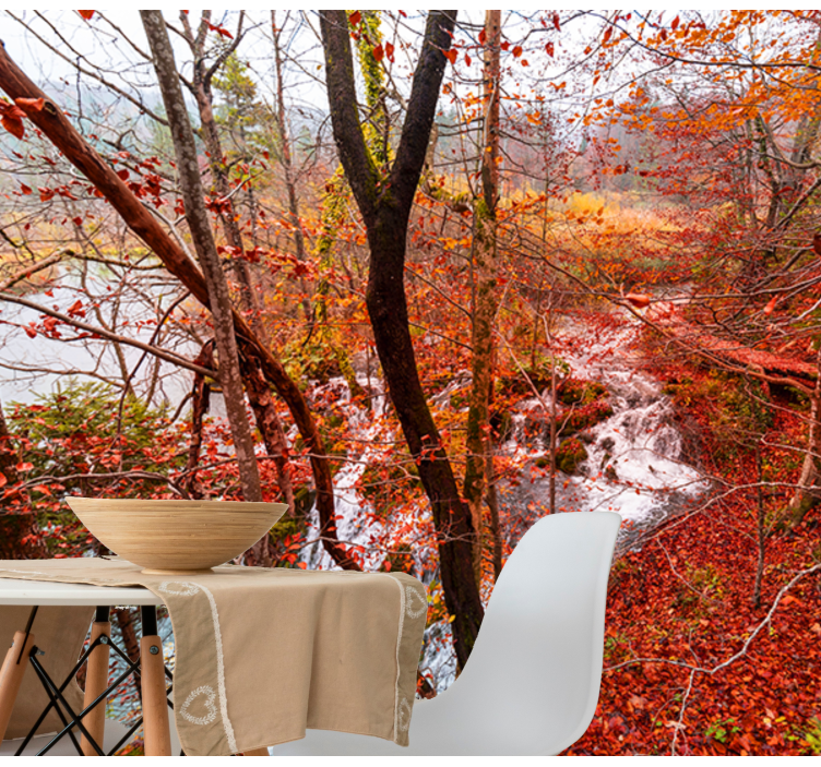 tapete priroda jesenski šumski prizor - TenStickers