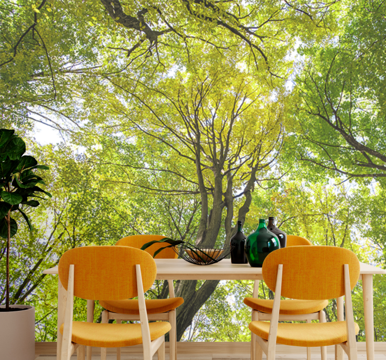 Tapete priroda luksuzna šuma krošnja - TenStickers