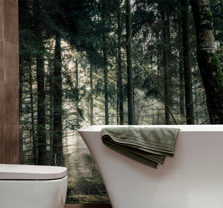 Tapete priroda miran pogled na šumu - TenStickers