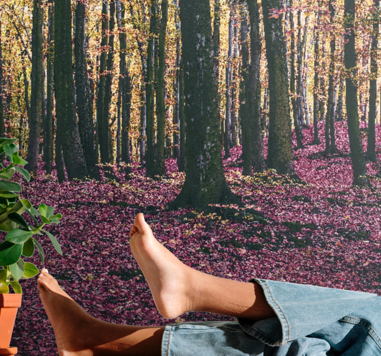 Tapete priroda mirna šumska scena - TenStickers