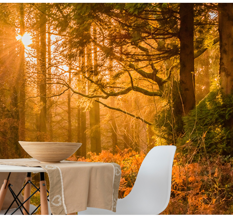 tapete priroda osvijetljeni šumski krajolik - TenStickers