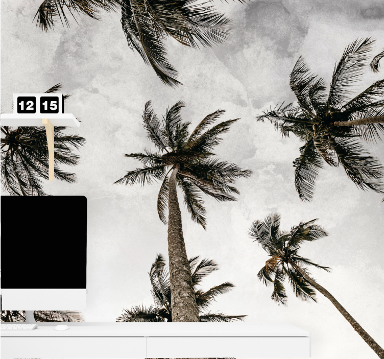 Tapete priroda palmova krošnja - TenStickers