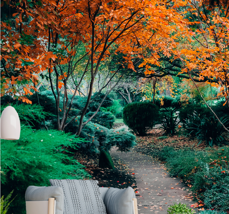 Tapete priroda staza među drvećem - TenStickers