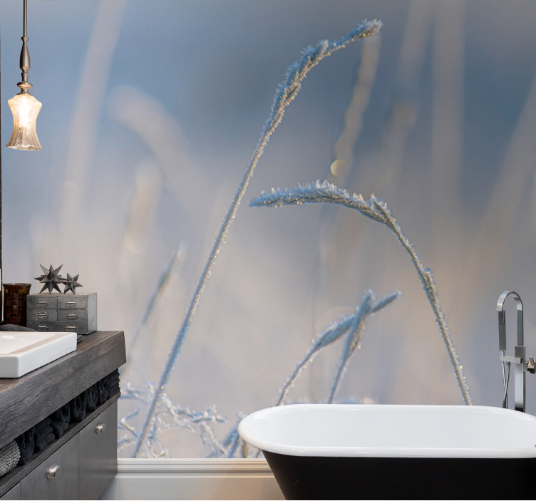 Tapete priroda zaleđene travke - TenStickers