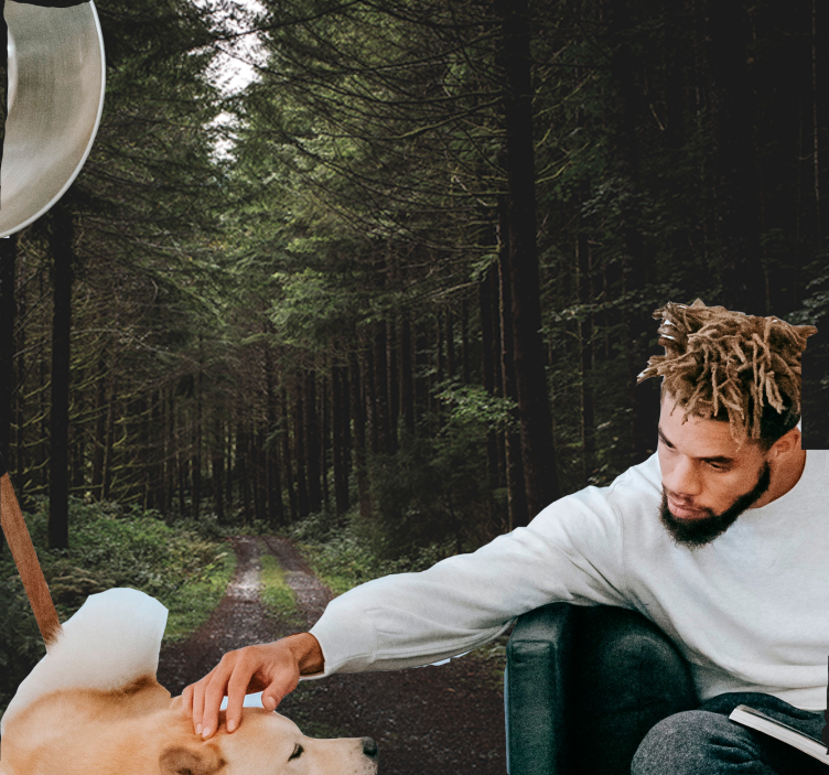 Tapete priroda zeleni šumski put - TenStickers