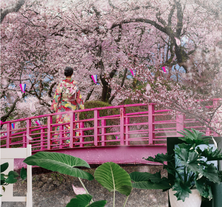 Cvijet trešnje i zidni mural crvenog mosta - TenStickers