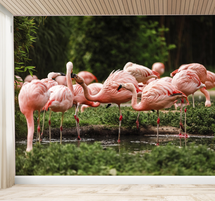 Zidni mural flamingo grupe - TenStickers