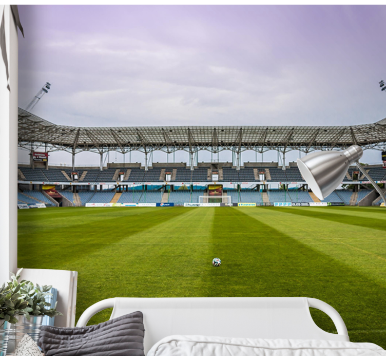 Zidne slike i zidne freske scena nogometnog terena - TenStickers