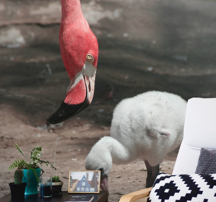 Zidni freske flamingo pilić - TenStickers