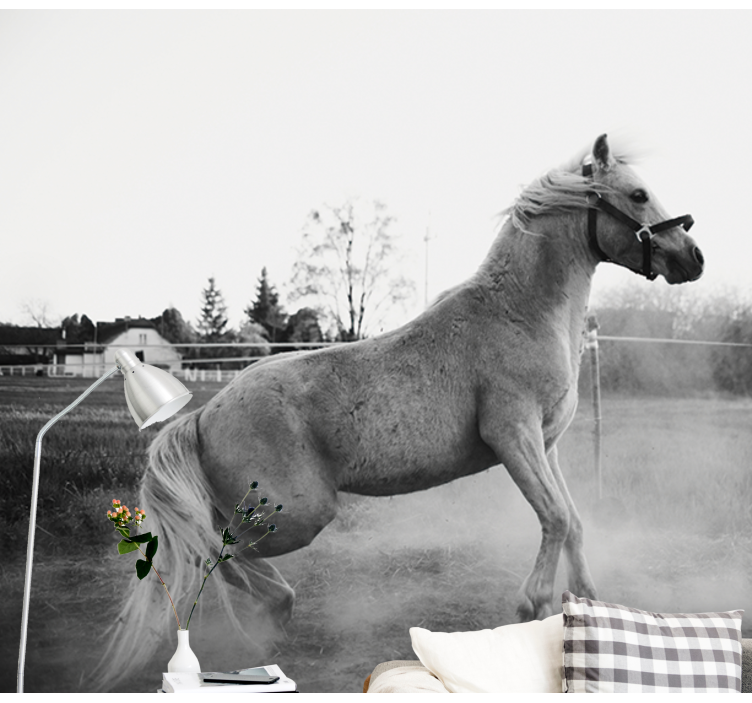 Zidni freske galopirajući ponij - TenStickers