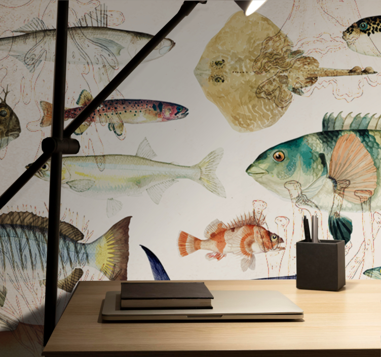 Zidni freske kolekcija morskog života - TenStickers