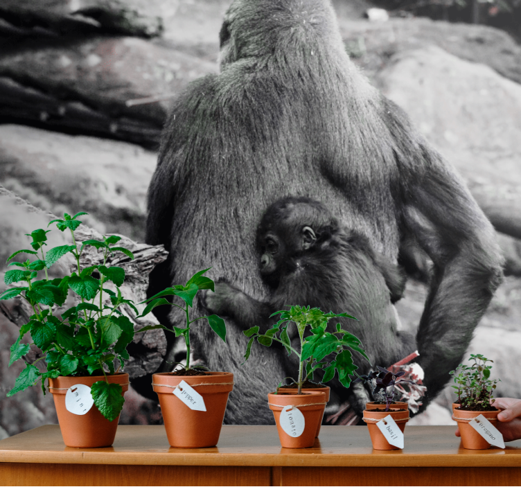 Zidni freske majka i beba gorile - TenStickers