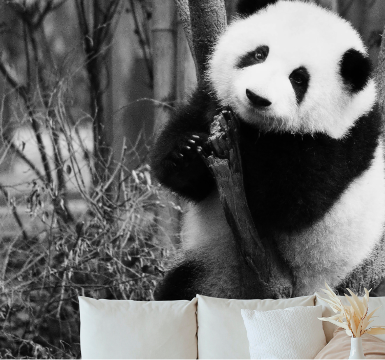 Zidni freske panda na drvetu - TenStickers