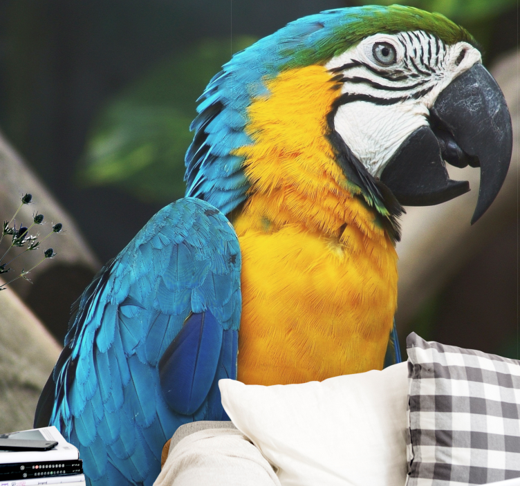 Zidni freske portret ptice ara - TenStickers