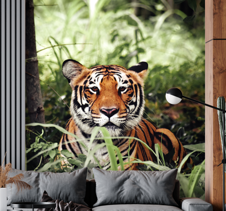 Zidni freske regal tigrovog doživljaja - TenStickers