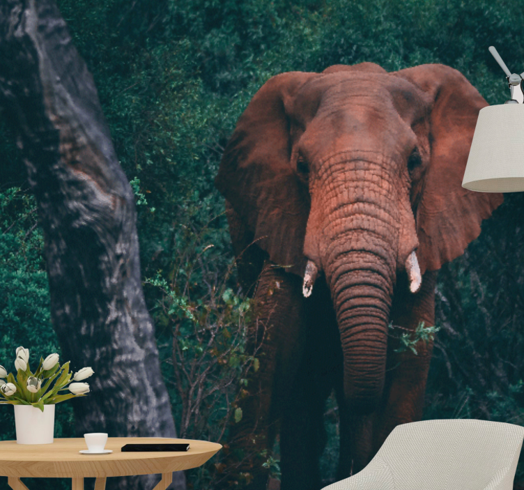 Zidni freske veličanstvenog slona - TenStickers