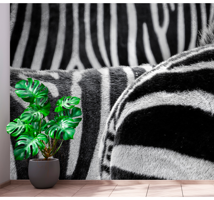 Zidni freske realistične pruge zebre - TenStickers