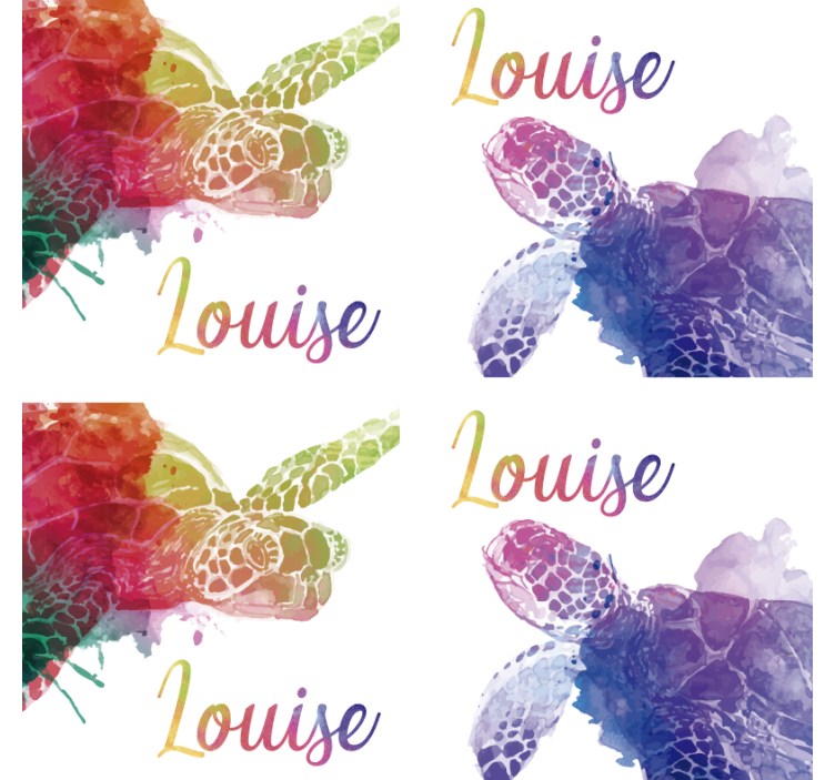 šareni kornjača s imenom - TenStickers