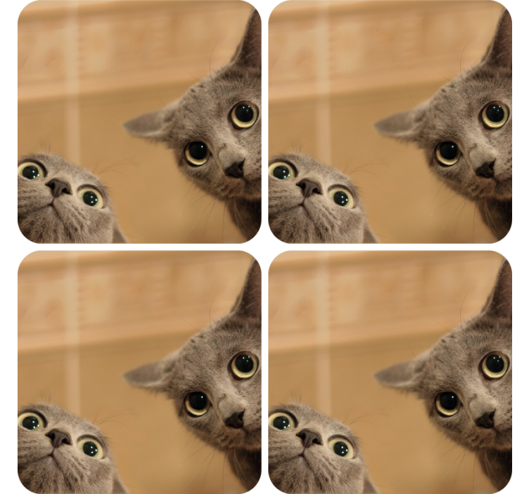 Podmetač za čaše nakaza znatiželjna mačja lica - TenStickers