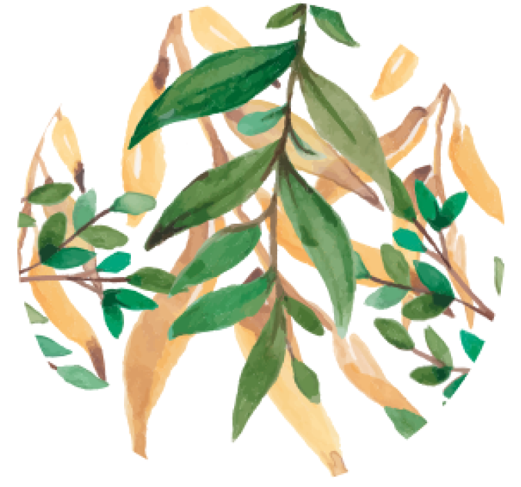 Prostirke za pivo s biljnim motivima u zelenoj boji - TenStickers