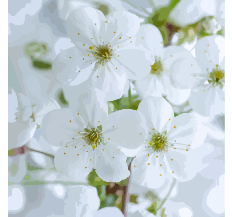 Podmetač za čaše s nježnim cvjetovima trešnje - TenStickers