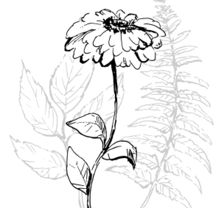 Podmetač za čaše s botaničkom linijskom umjetnošću - TenStickers