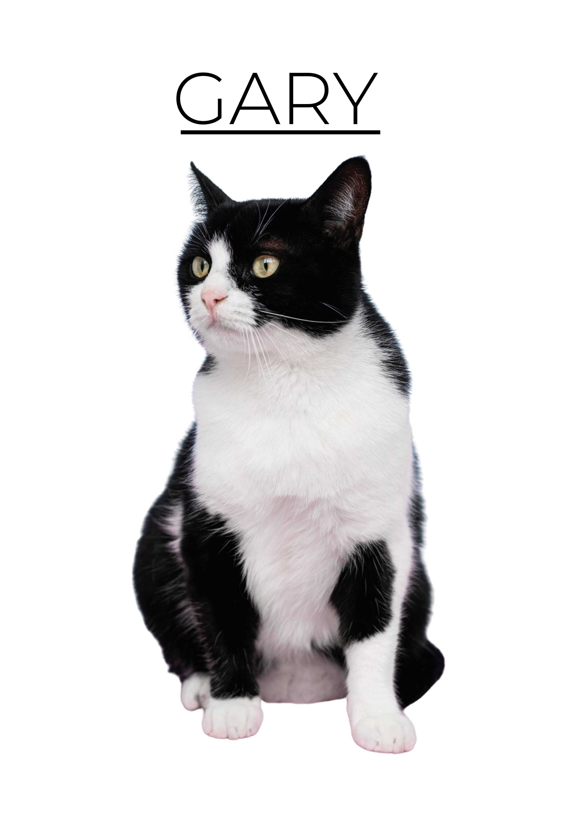 Poster druge životinje personalizirani minimalistički - TenStickers