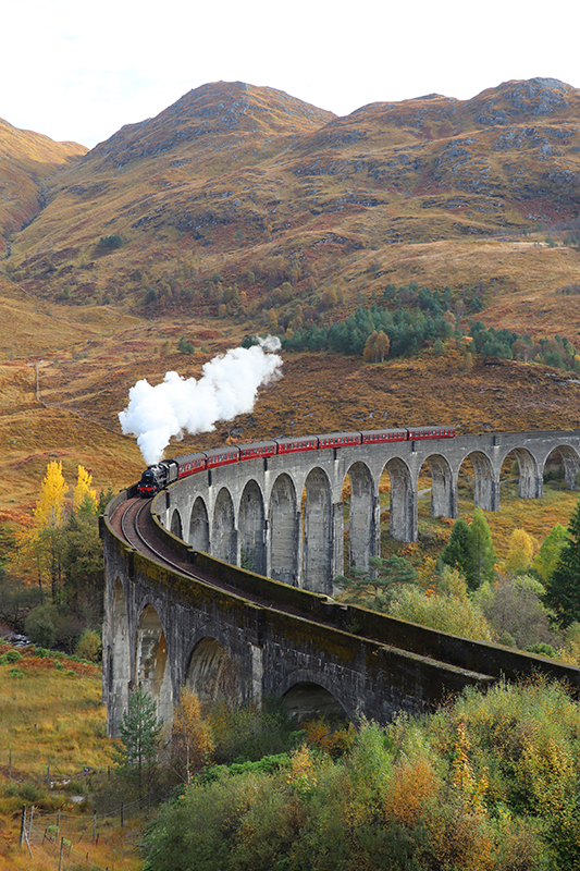 Realistični foto poster pokretni vlak - TenStickers