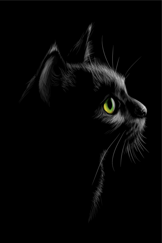 Poster dnevna soba mačke s zelenim očima - TenStickers