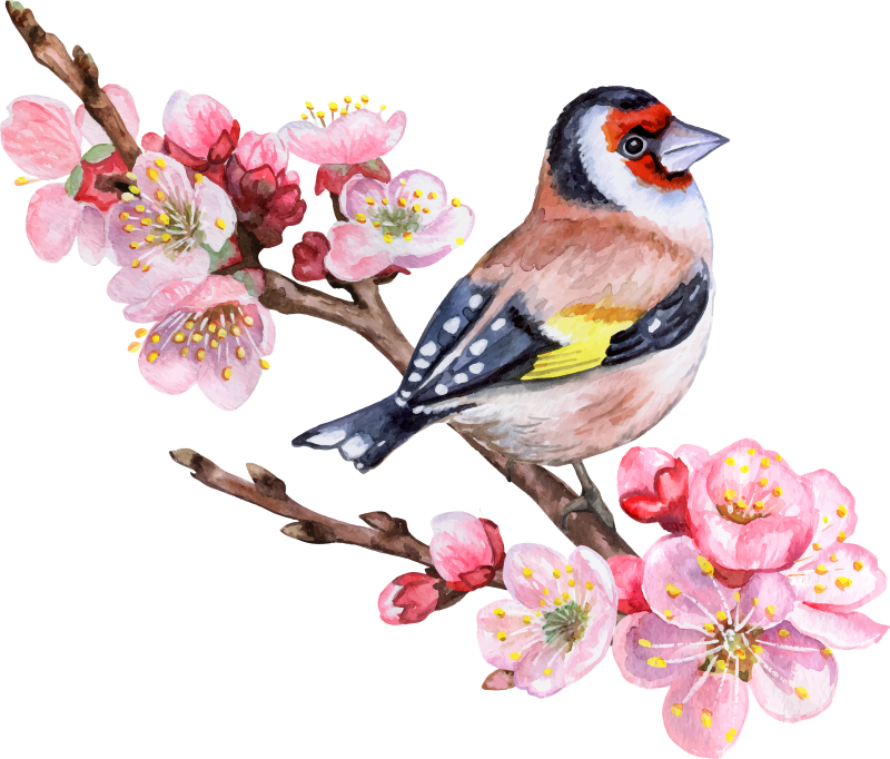 Poster drvo proljetne grane s pticama - TenStickers