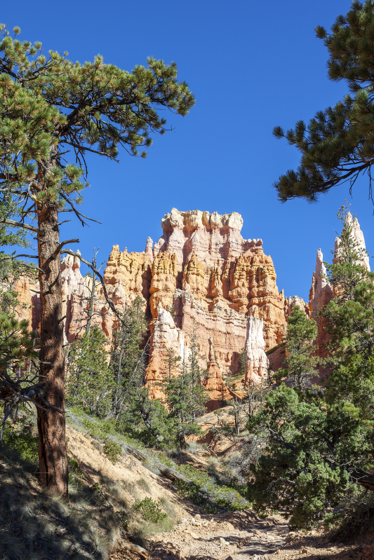 Poster zemljama bryce canyon - TenStickers
