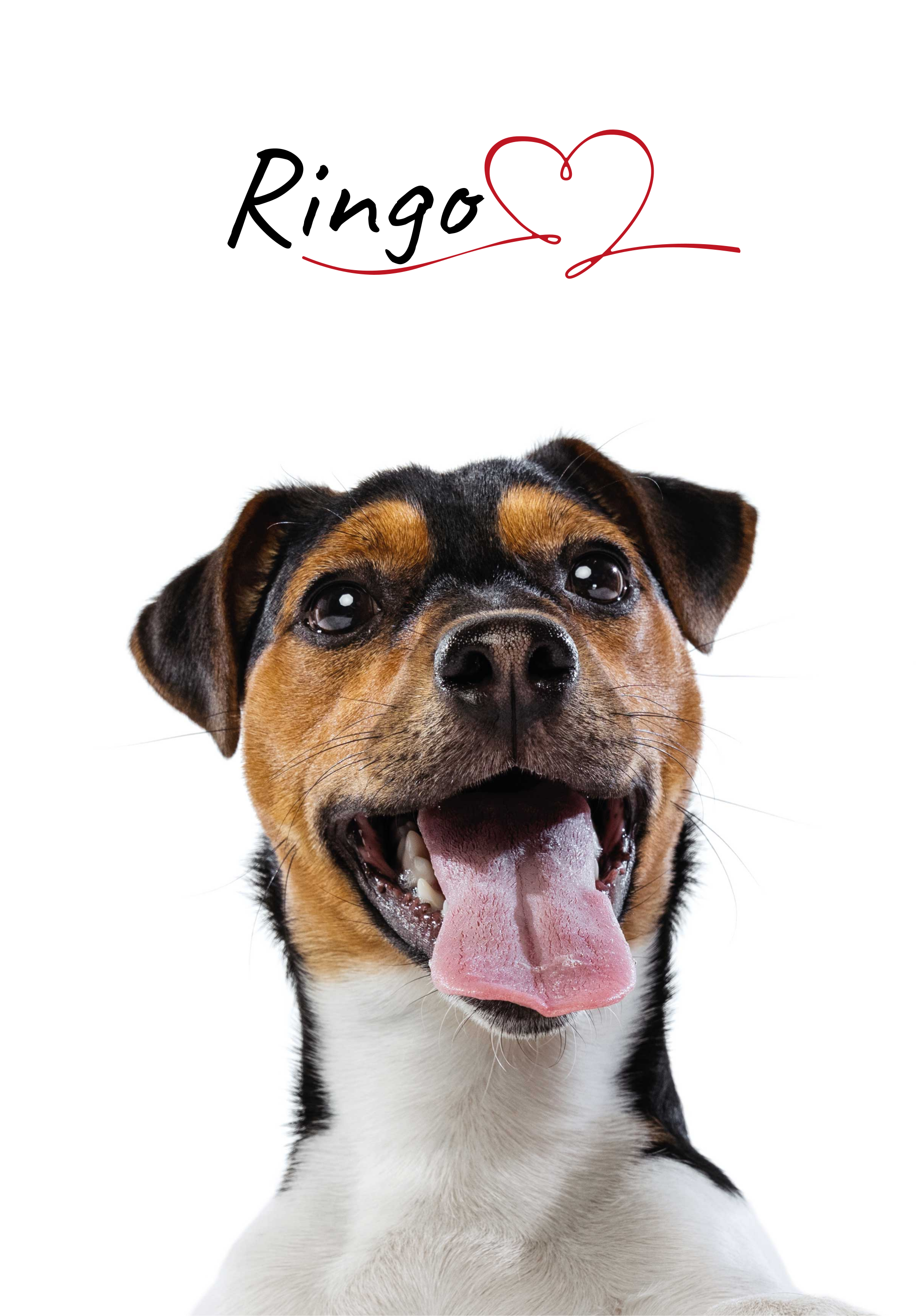 Prilagođeni plakat za ljubav prema psima za zid - TenStickers