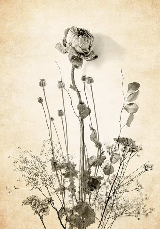 Poster cvijeće buket cvijeća na bež pozadini - TenStickers