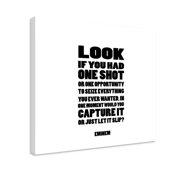 One shot song lirska glazba platno art - TenStickers