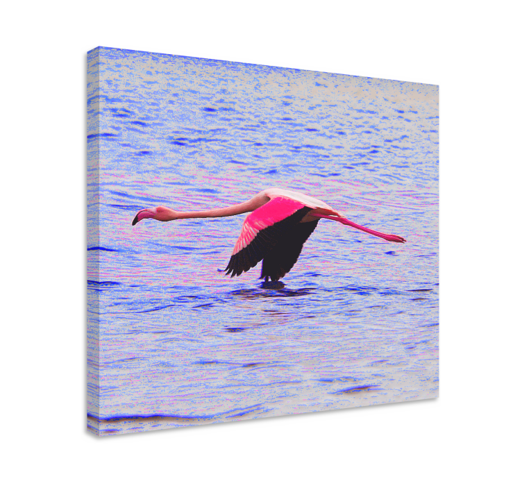 Slika na platnu riba flamingo u letu - TenStickers