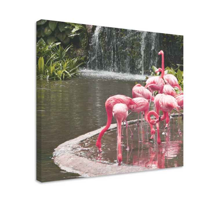 Slika na platnu psi flamingo jato uz bazen - TenStickers