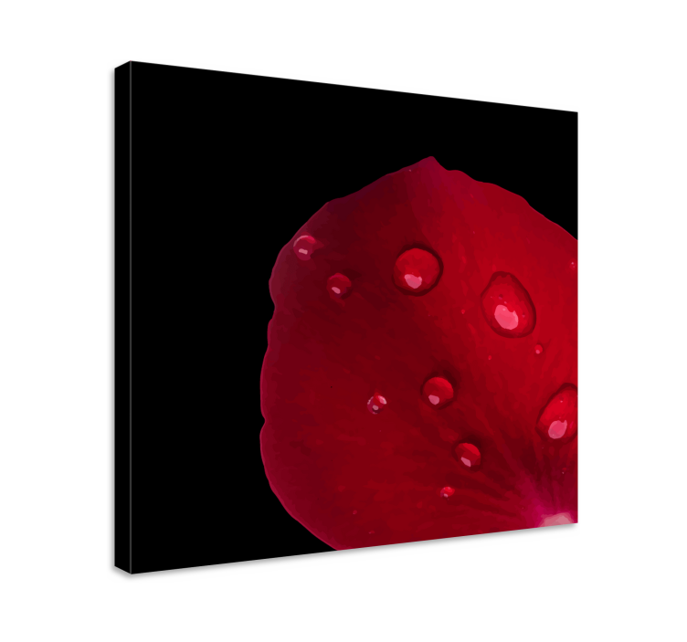 Uzorak crvene ruže s cvjetnim platnom kapljica vode - TenStickers