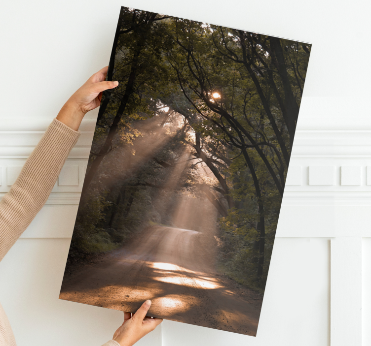 Slika na platnu krajolici sunčana šuma staza - TenStickers