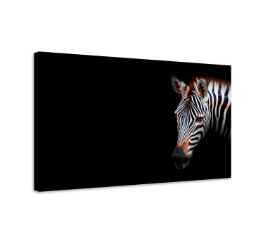 Slika na platnu životinje zebra izbliza - TenStickers