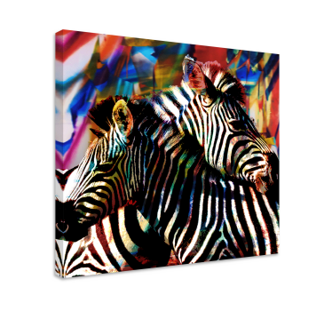 Slika na platnu životinje Šarena zebra u paru - TenStickers