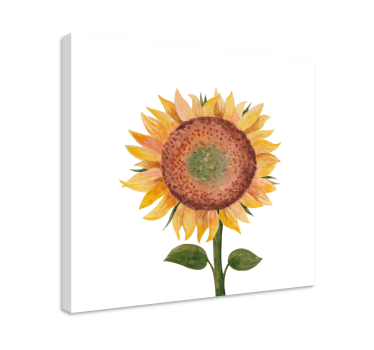 Slika suncokreta cvjetno platno - TenStickers