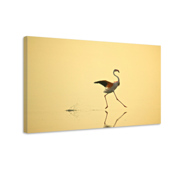 Slika na platnu ptica elegantni ples flaminga - TenStickers