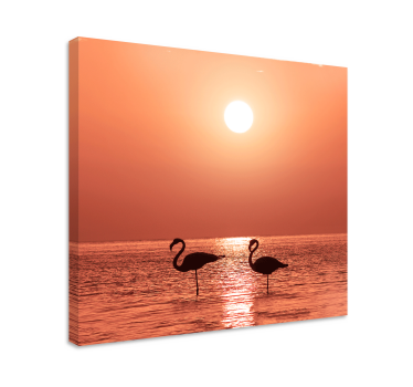 Lijepi flamingo s otiscima zidova zalaska sunca za dnevnu sobu - TenStickers