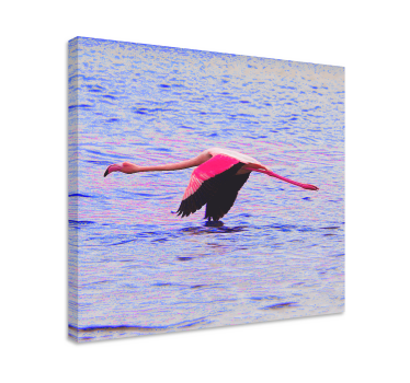 Slika na platnu riba flamingo u letu - TenStickers